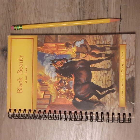 Hand Crafted | Office | Secret Journal Black Beauty Handmade Journal ...